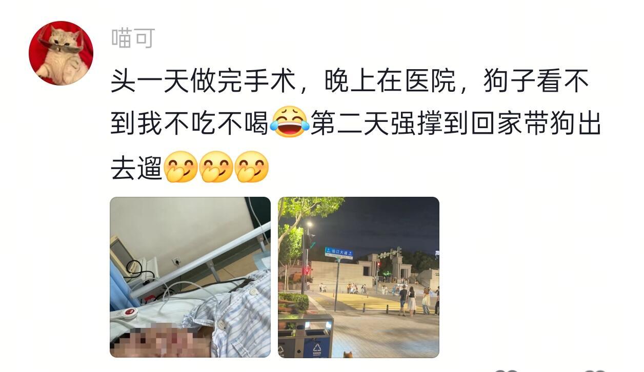 养狗人对于遛狗的执着​​​