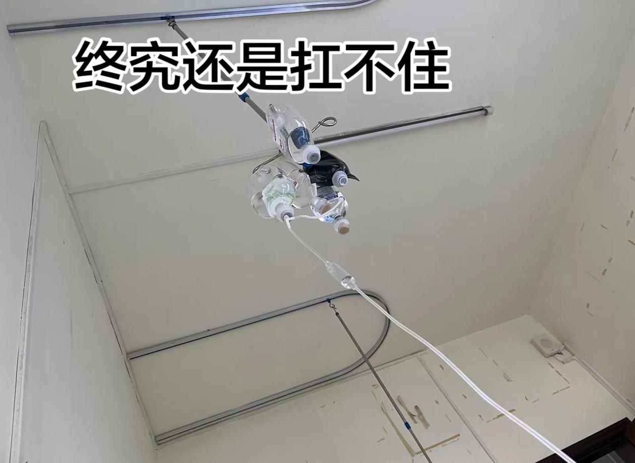 这些年经历了什么生活与我短视频变现热门音乐