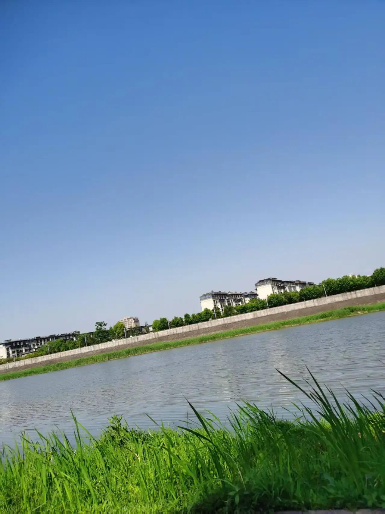 我同学55岁，查出了肺癌icon晚期。他也不去医院治疗，选择在家保守治疗。他的