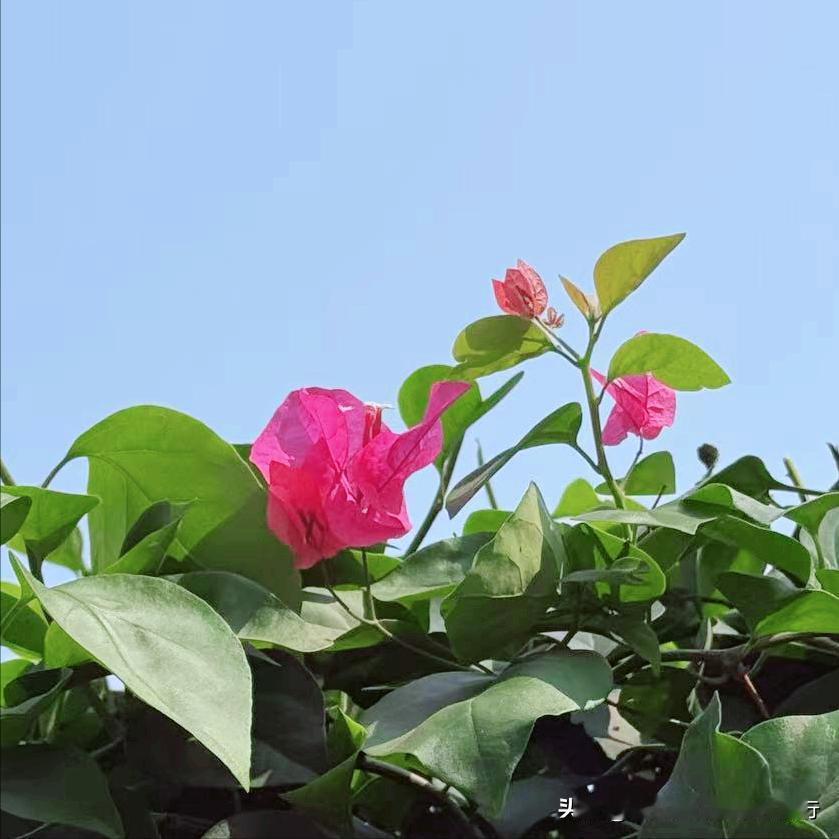 荆们市迎来新的主要负责同志 近日，今年55岁的陈家伟履新该市。 该同志2