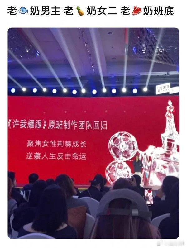 虞书欣奶男主白鹿奶女二赵露思奶班底陈畅合作赵露思两部剧都火了，合作其他人的星光美