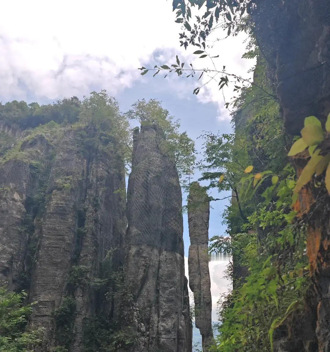 踩坑今天又踩了一个坑！吹得天花乱坠的所谓AAAAA景区，门票一张105元，