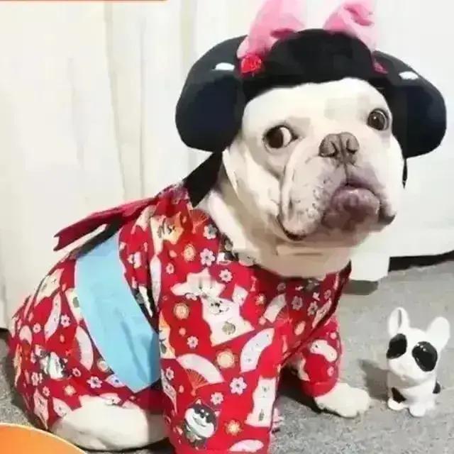 出轨女人的晚年悲剧：一步踏错，余生皆苦，一个出轨女人的悟，毁的是一生女人一