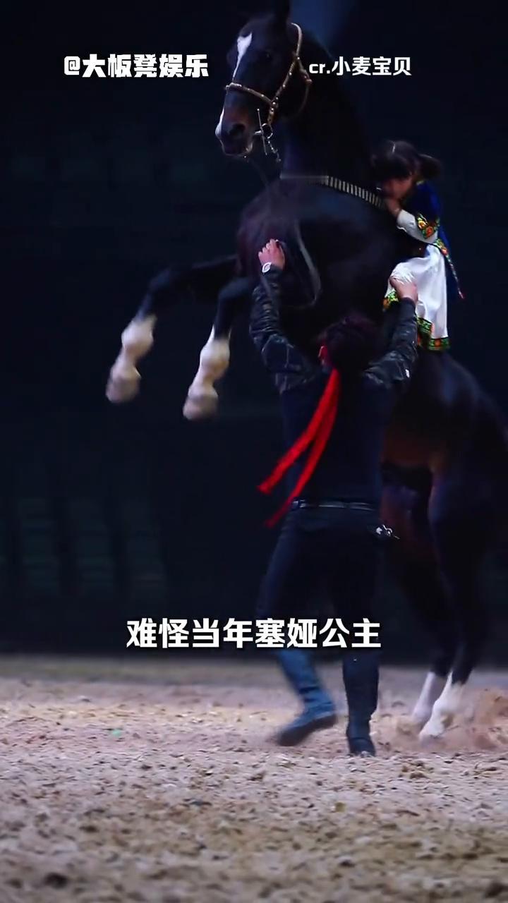 大板凳娱乐。终于理解了古时候在马背上长大的少女为什么在进宫后会郁郁寡欢了。因为