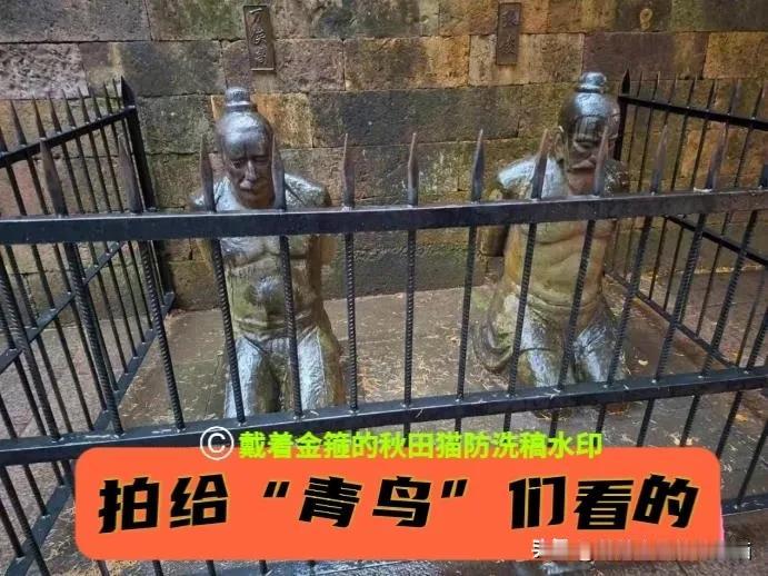 柯文哲想说而不敢说的都被老婆说了，陈佩琪给“青鸟”们上了一堂生动的课：让他们知道