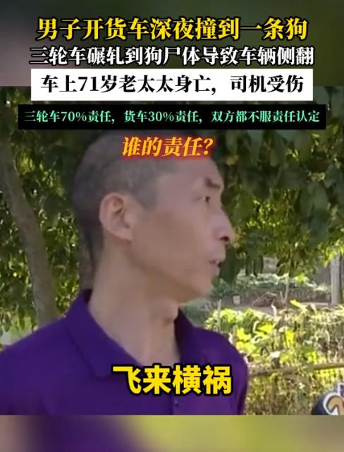 浙江桐庐，一辆货车深夜在省道上行驶时，感觉轧到了什么东西，但司机没有下车检查。谁