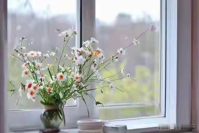 和属牛的人交往，门道还不少。他们性格稳重、踏实肯干，做事有条不紊，责任感超强。