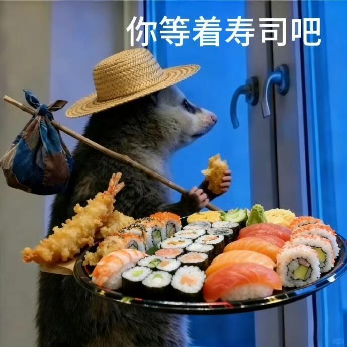 负鼠表情包