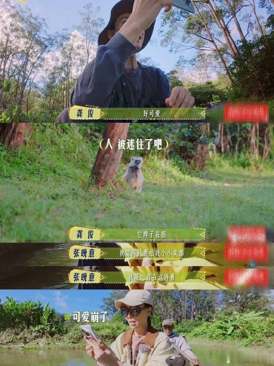 张晚意张晚意花少i人旅行模板张晚意简直是i人旅行教科书！话不多却行动力