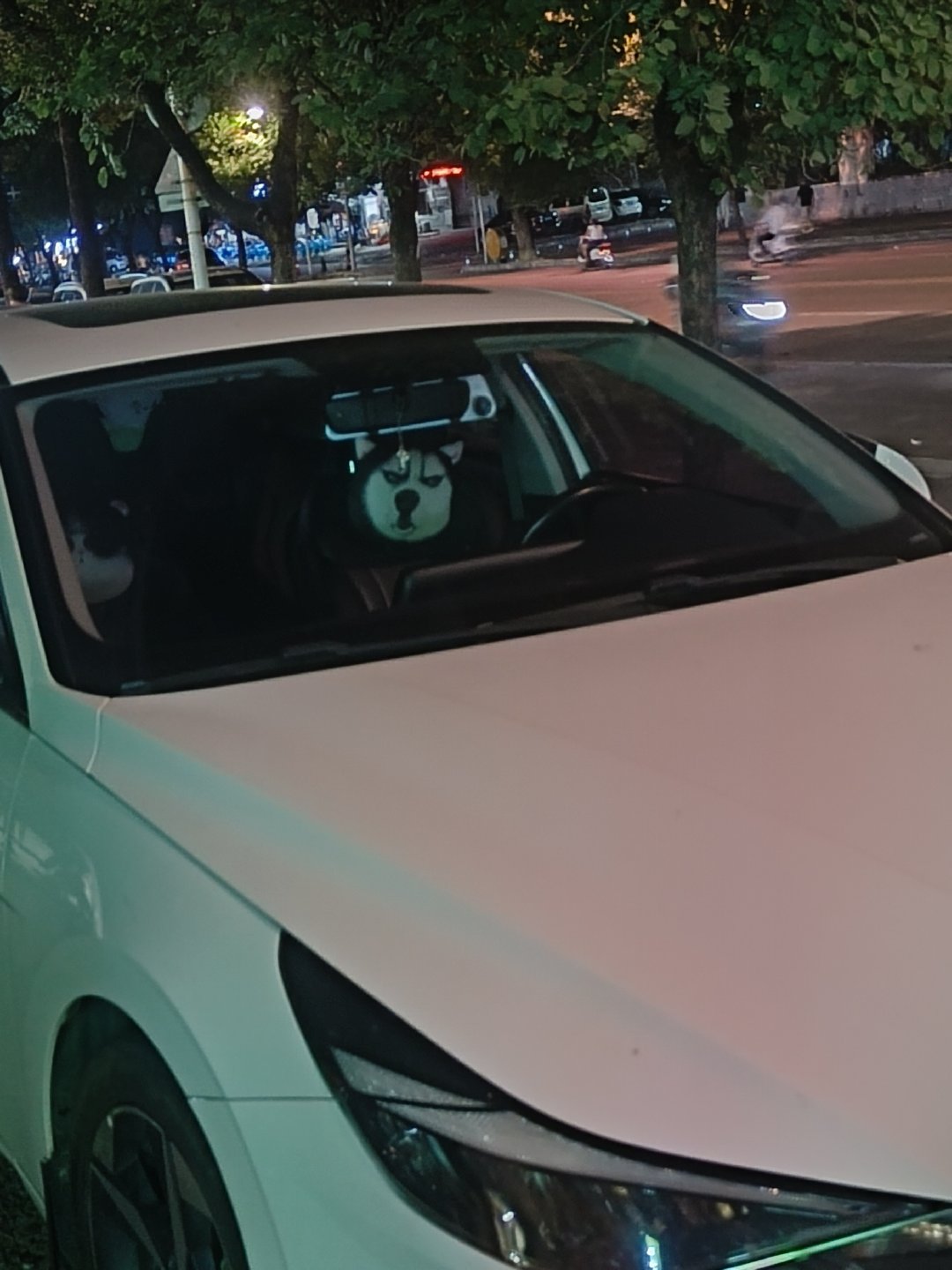 🌚我不行了吓我一跳以为狗在开车​​​