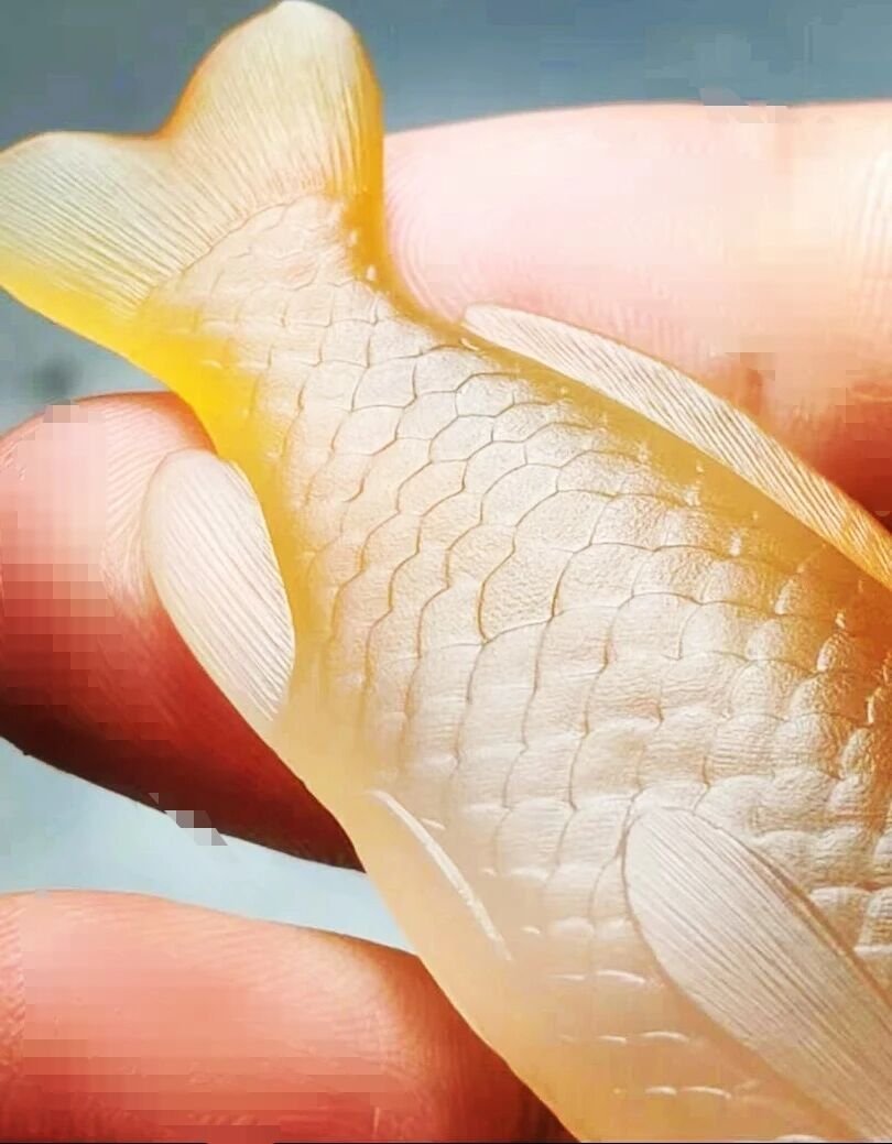 随想杂感祝全球粉丝们，中秋节快乐！吃过有余。​​​