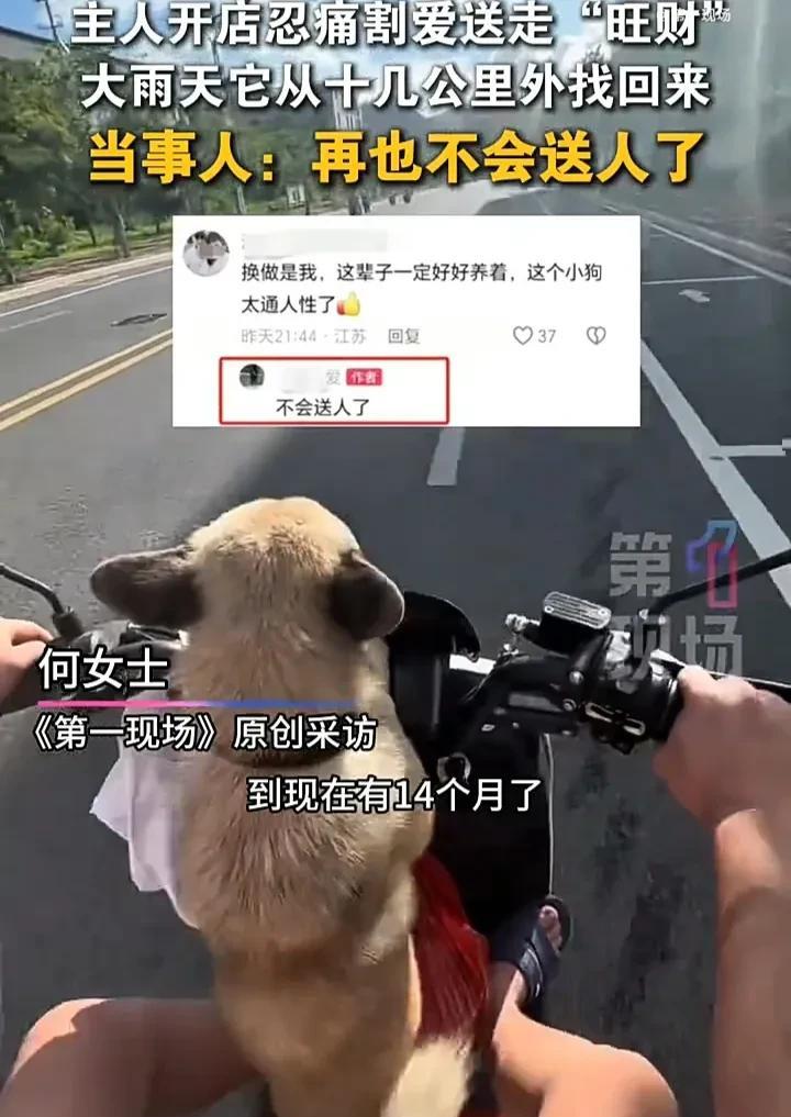 看哭了！7月10日，福建漳州一名女子因小狗在店内会吠叫，导致不少客人因此害怕，于