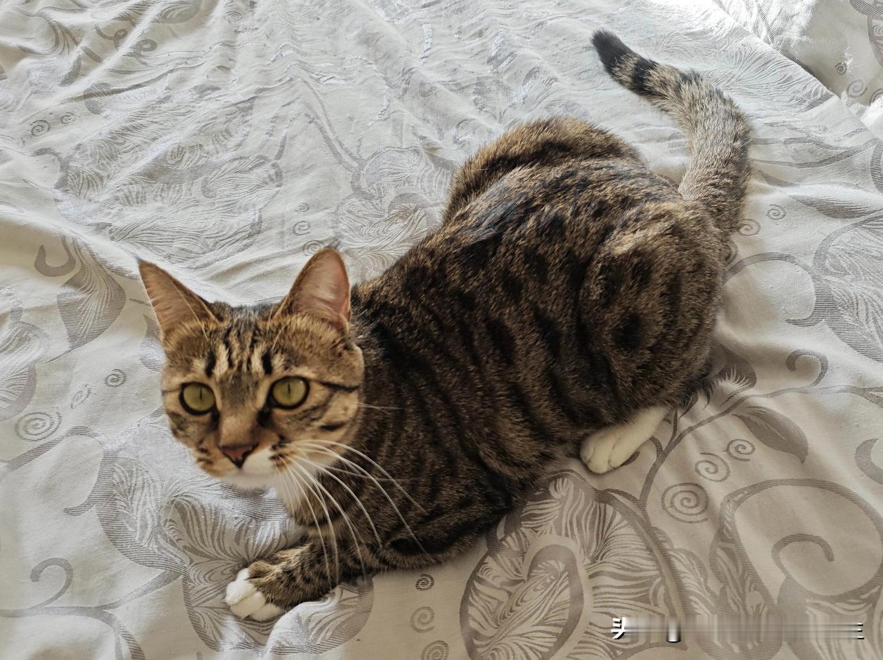 人生很糟糕，但也没那么差！没有事事顺遂的人生，难免会有风雨坎坷，工