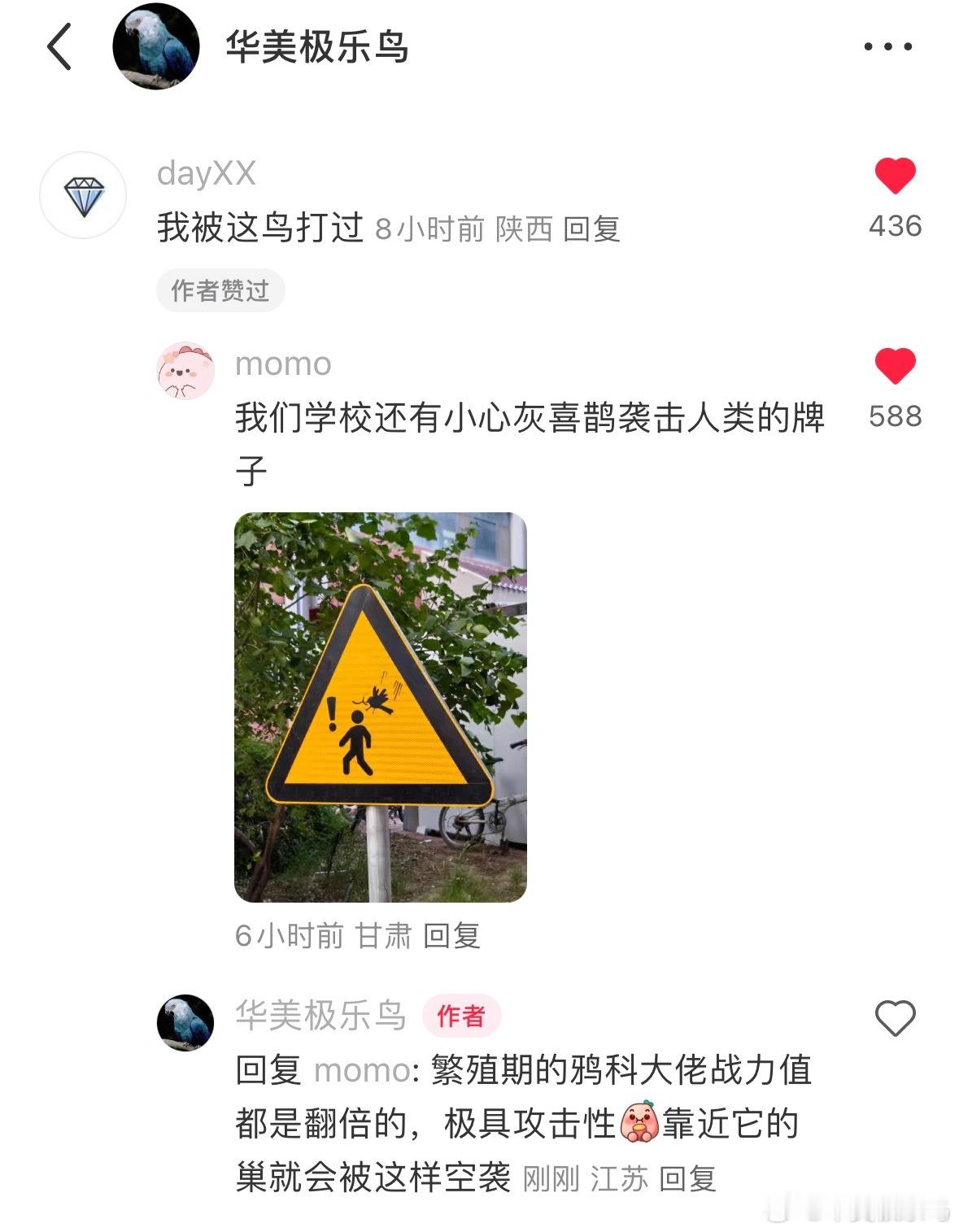 很形象的告示牌繁殖期的灰喜鹊…记得绕行​​​