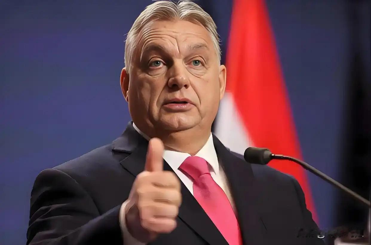 就在刚刚!匈牙利总理高调宣布10月28日,匈牙利总理欧尔班突然放话,俄美
