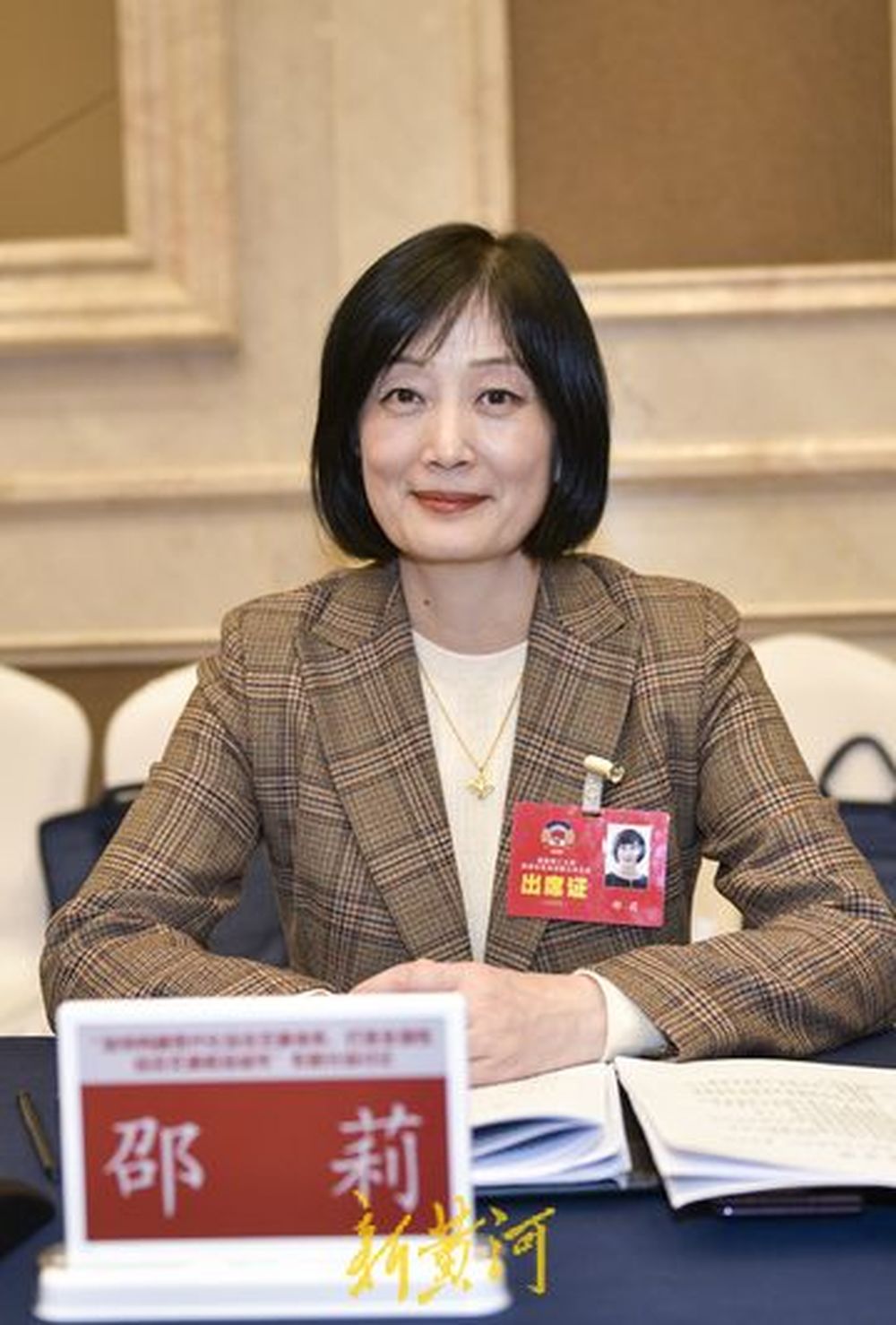 政协委员畅言济南建设全国性综合交通枢纽城市