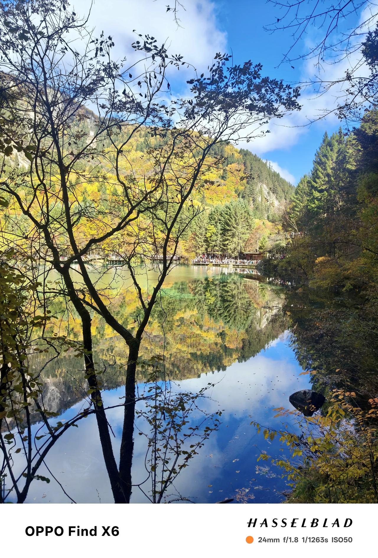 2025年的九寨沟秋色比以往都来得更晚一些，直到11月才姗姗来迟。而今年10月中