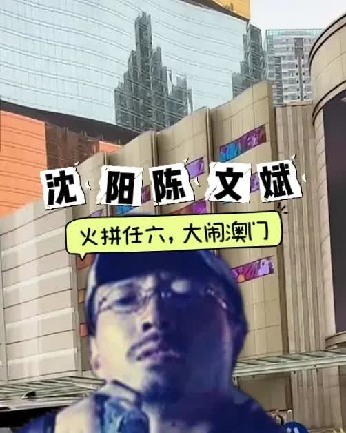 陈文斌是沈阳最能打的一个猛人，以敢打敢拼，心狠手辣著称，2006年被警方抓获时
