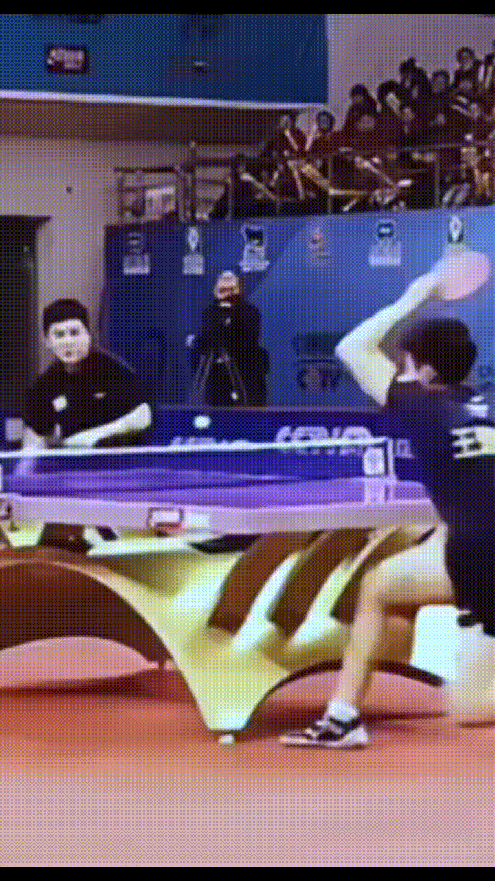 现在这个地球上，能把大头打的直飙脏话的，估计也就只有樊振东了。