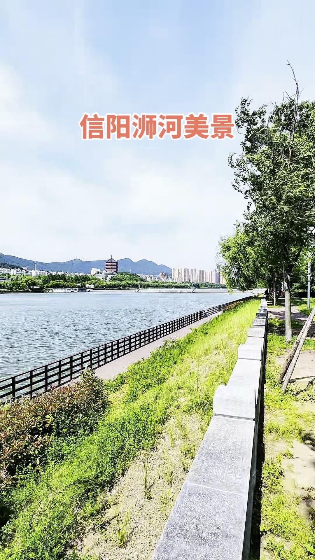🌊在信阳的日子，一定要走一趟浉河步道！沿着河岸漫步，微风带着茶香拂过脸颊，