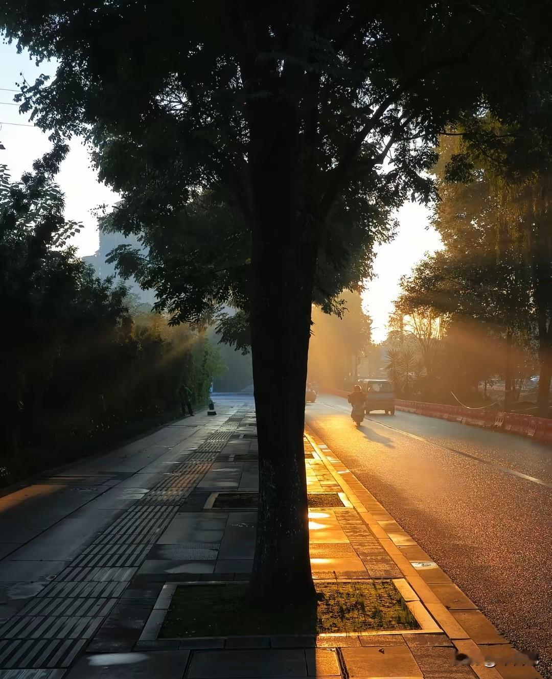 这是一个神奇的公司，在很多领域都有行动，最后都失败了。1. 百度有啊：