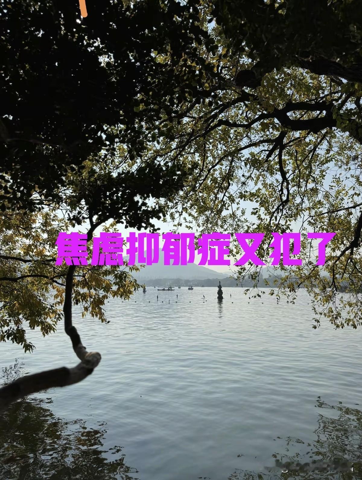 焦虑症又犯了吗？这两天情绪不好让我的免疫力降低了，精神出了点问题，人也感冒了，咳