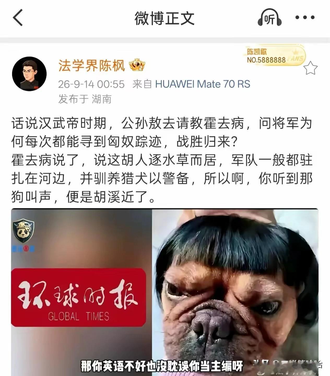 陈枫太有才了！无论是四句话为胡锡进画像：“遇恶沉默，遇民强硬，遇利闭嘴，遇善挑