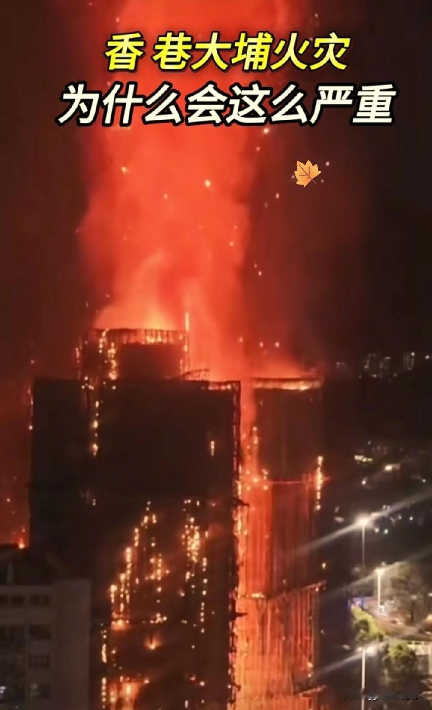 疑似香巷大🔥的源头已经找到了！看了真的让人心疼谁能想到，这么大的大🔥，源