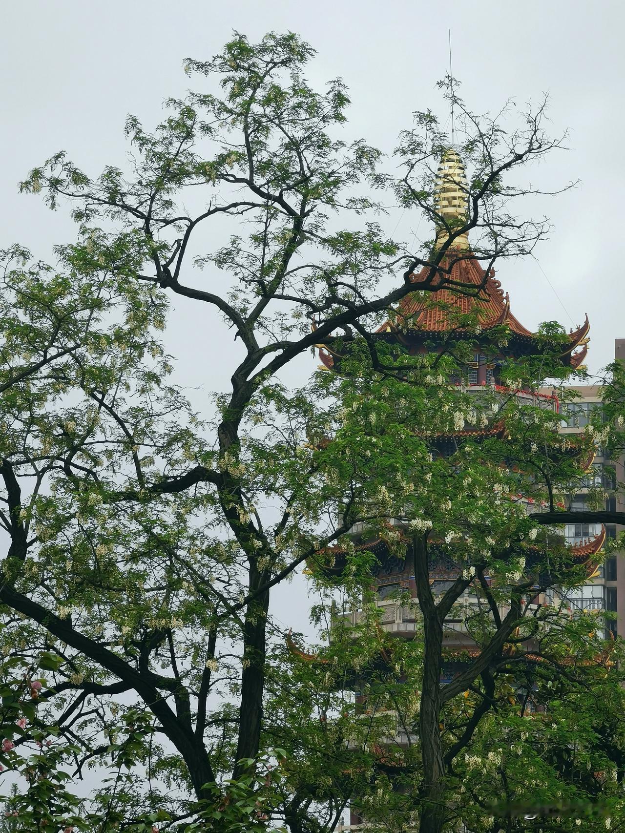 震碎三观！公园听到的一段对话，让我彻底明白了什么叫“毁三观的奇葩论调。下午去公