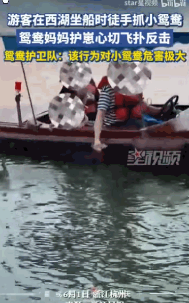 “这种人就应该拉黑！”6月2日光明网报道，浙江杭州，一名游客坐船的时候，大白天伸