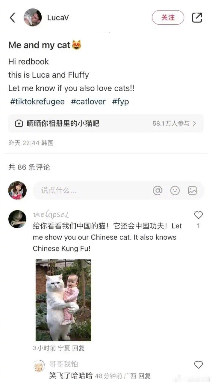 要笑死在小地瓜外国友人的评论区，大家都可可爱爱！