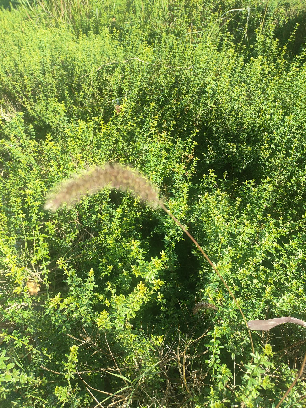 看着孩子越来越大，自己年纪也越来越大，有点后悔没要二胎了孩子越来越大，之前想以