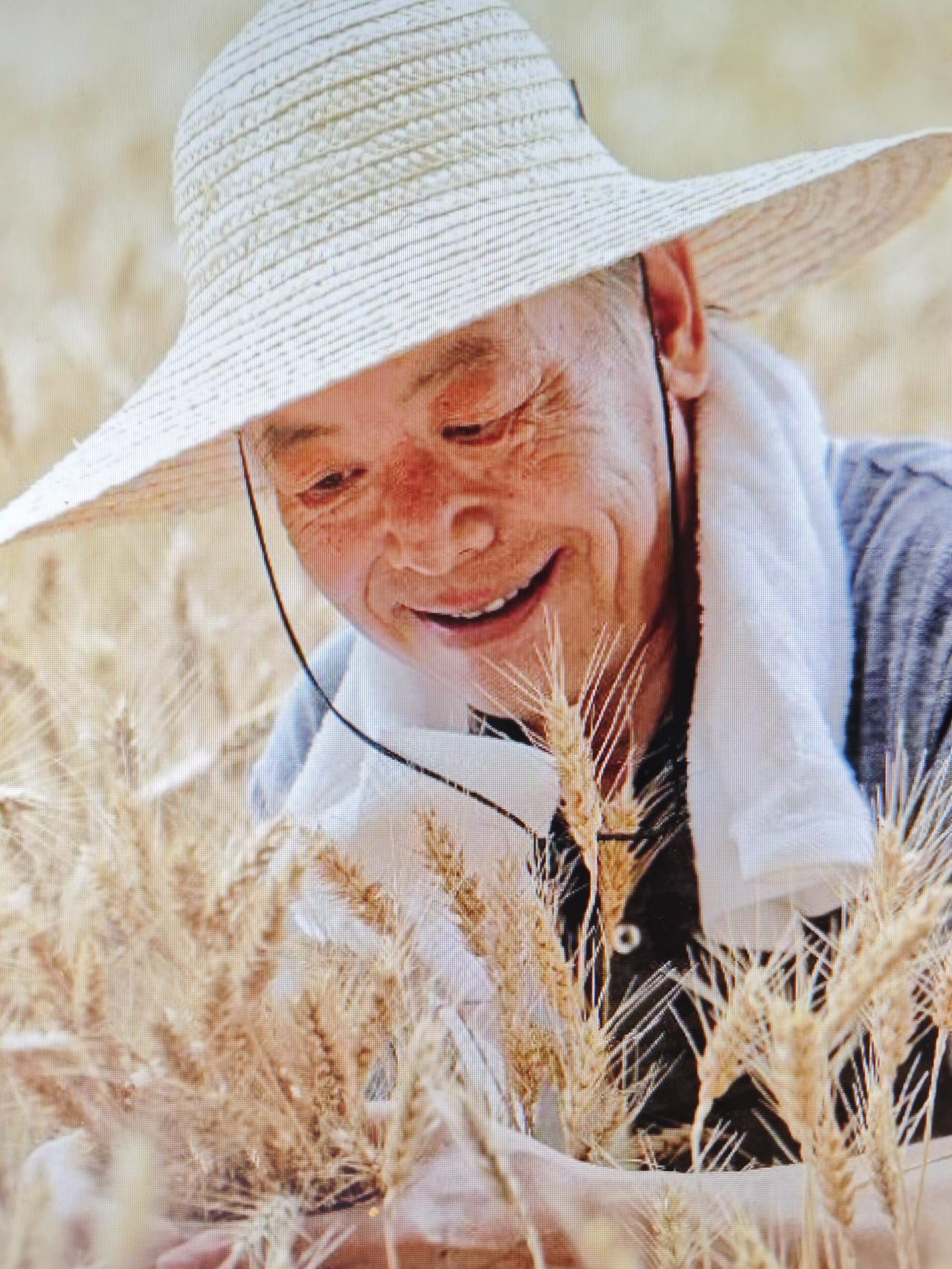 涨老农民养老金不是“分蛋糕”今年开“两会”，有人统计过，说是呼吁提高农民养老