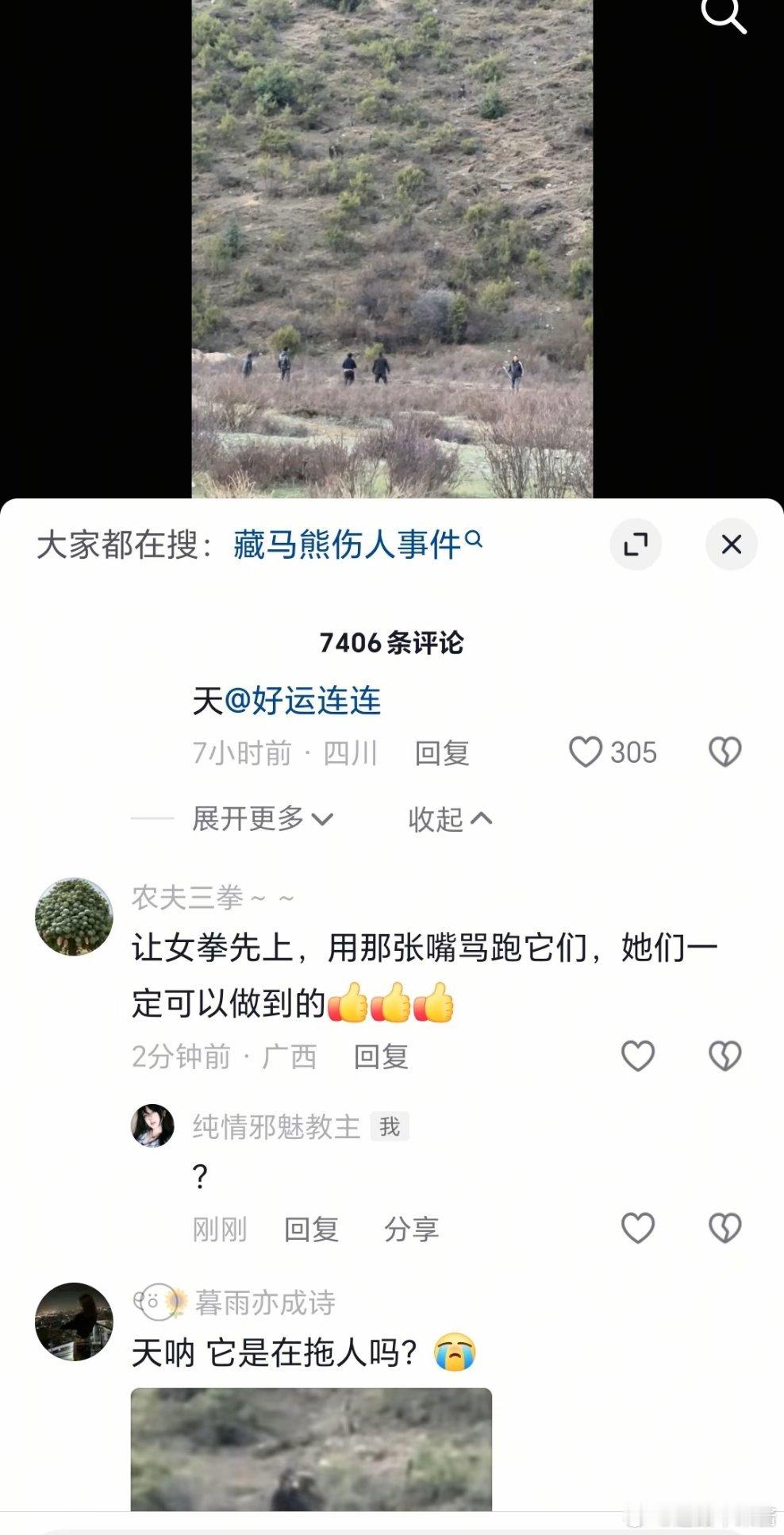 熊吃人的视频它莫名其妙cue到祖奶奶干嘛呢[汗]​​​