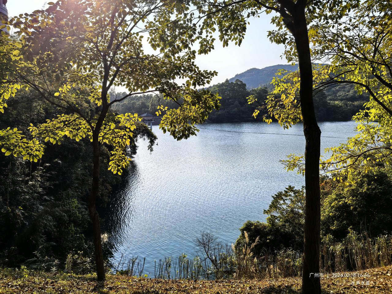 广州环境最好的地方，绝对在萝岗。别的城区最多就是公园多一点，萝岗到处都是公园；别