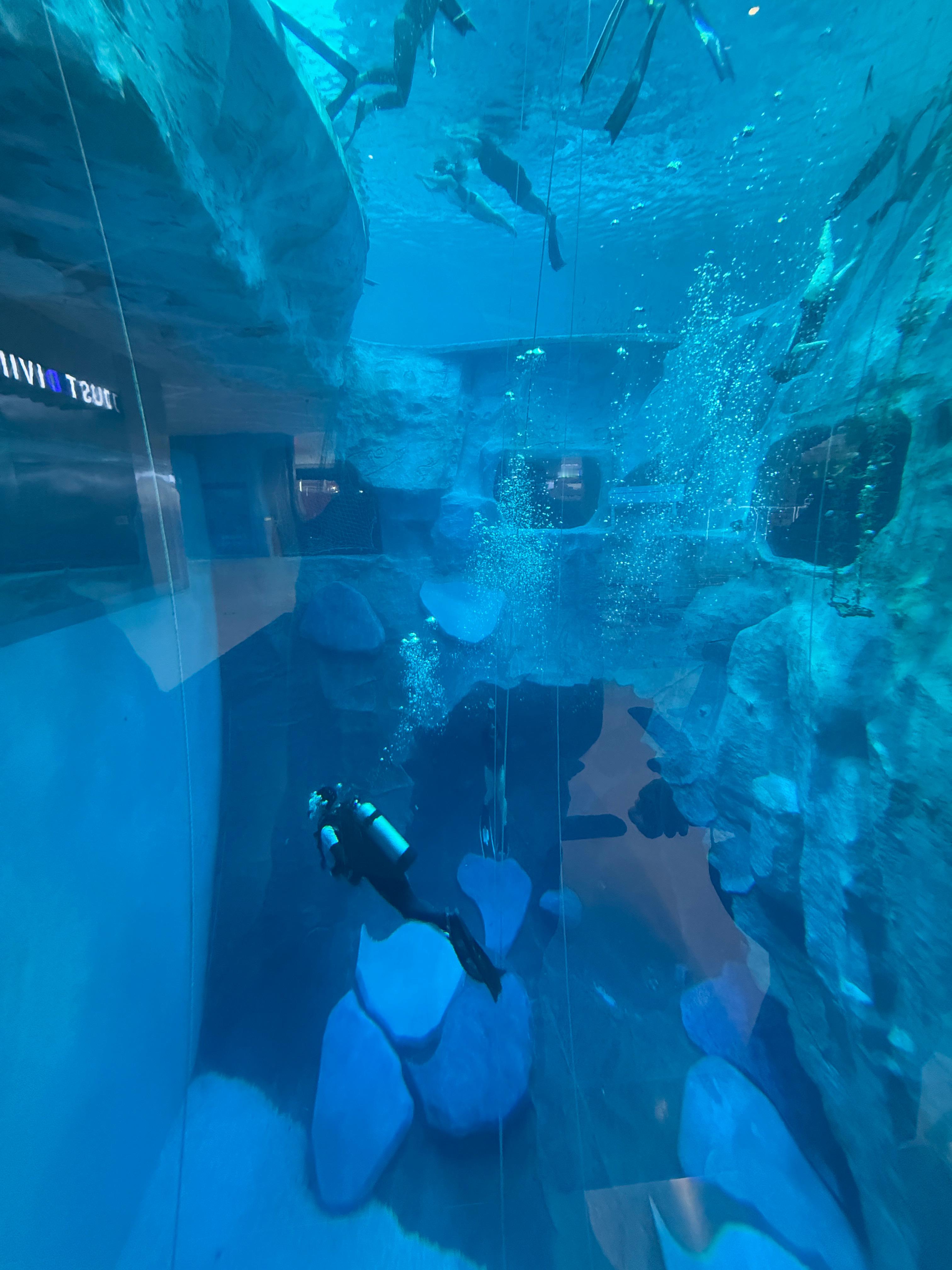 到了到了！一会儿我下去给大家表演