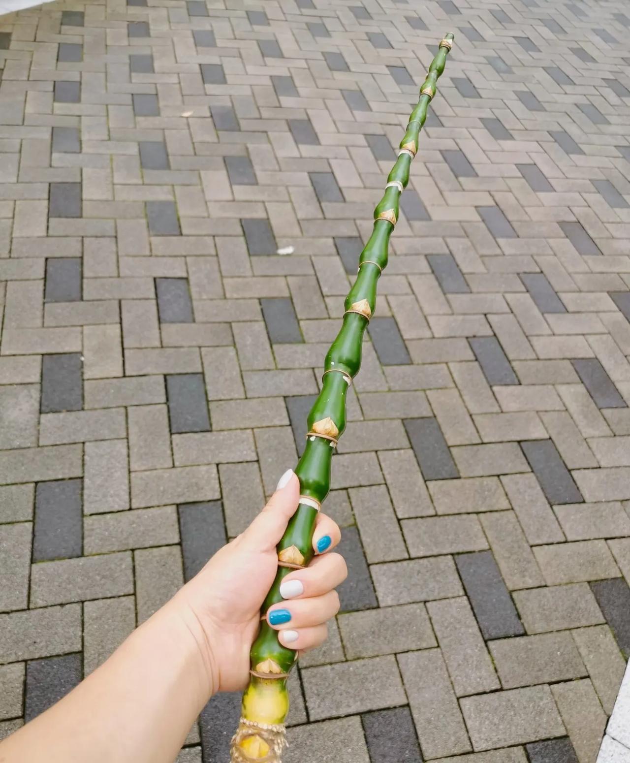 这么漂亮的竹棍，可以做什么？今天在公园溜达捡的，太漂亮了。一眼喜欢。可以做