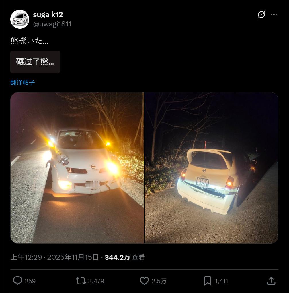 🔻日本网民分享：“车撞上了熊”。🔻有人问他：“熊死了吗？”🔻他说：“熊还活