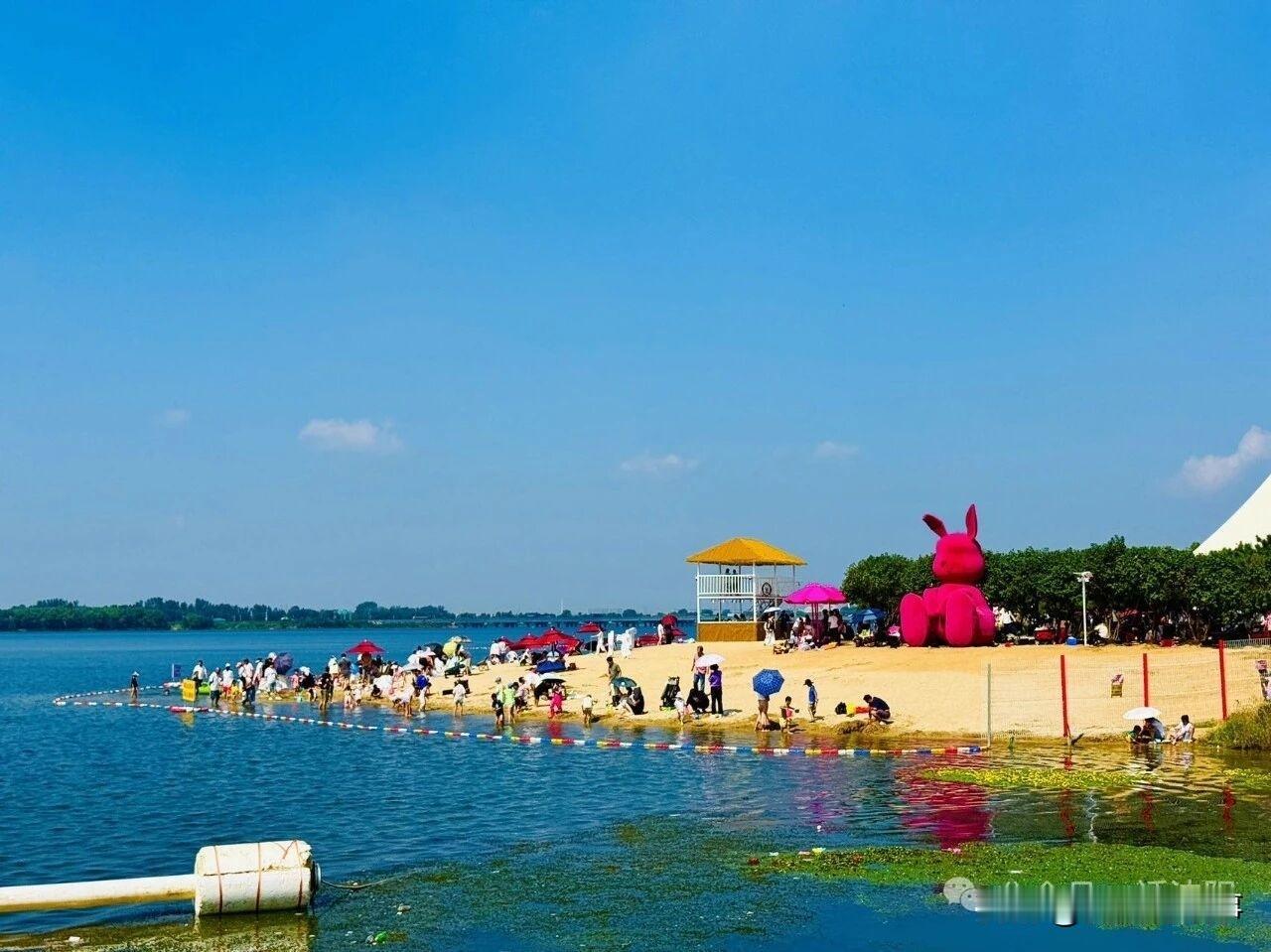 被唱衰20元没人去！丁香湖沙滩周末直接挤爆，争议却越吵越凶[抠鼻]开业之前