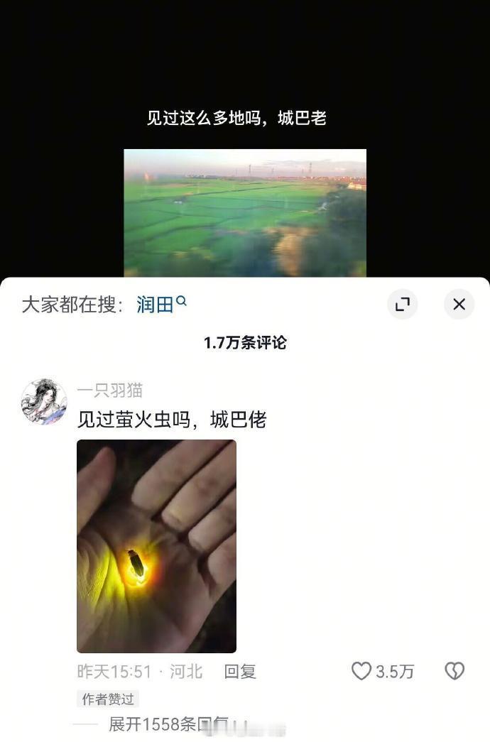 你知道这个是什么吗?城巴老