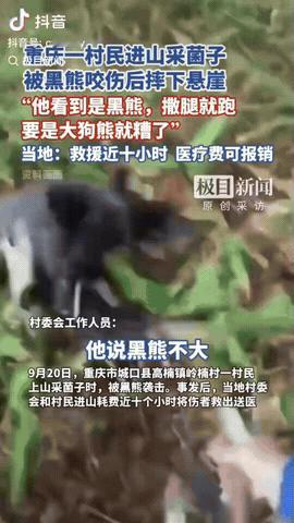 9月20日，重庆，一男子进山捡野生菌，没有想到的是，他被一头200斤的大黑熊咬伤