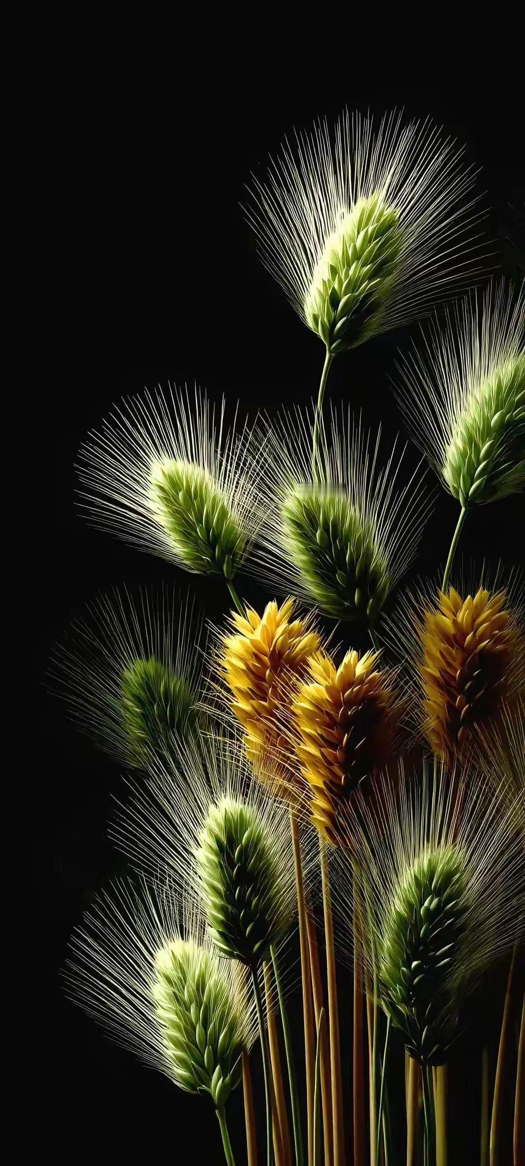 今天来和你们唠唠我父亲最后的日子父亲去世前的三个月小脑萎缩那是真作啊晚上