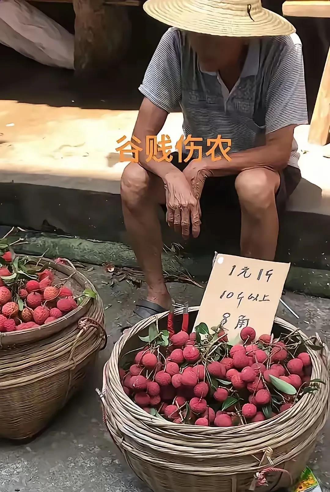 一个八十岁的大爷，挑着两筐荔枝在卖，才一块钱一斤，这么便宜的价格，卖了好几个小时