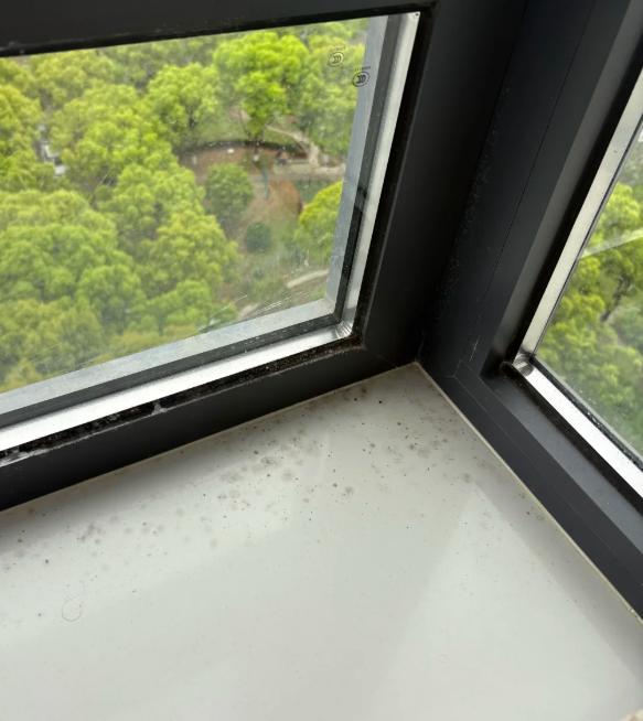 闺蜜家装修完第二年，卧室墙面开始发霉长毛，找物业说是“你家没关窗”。结果今年梅雨