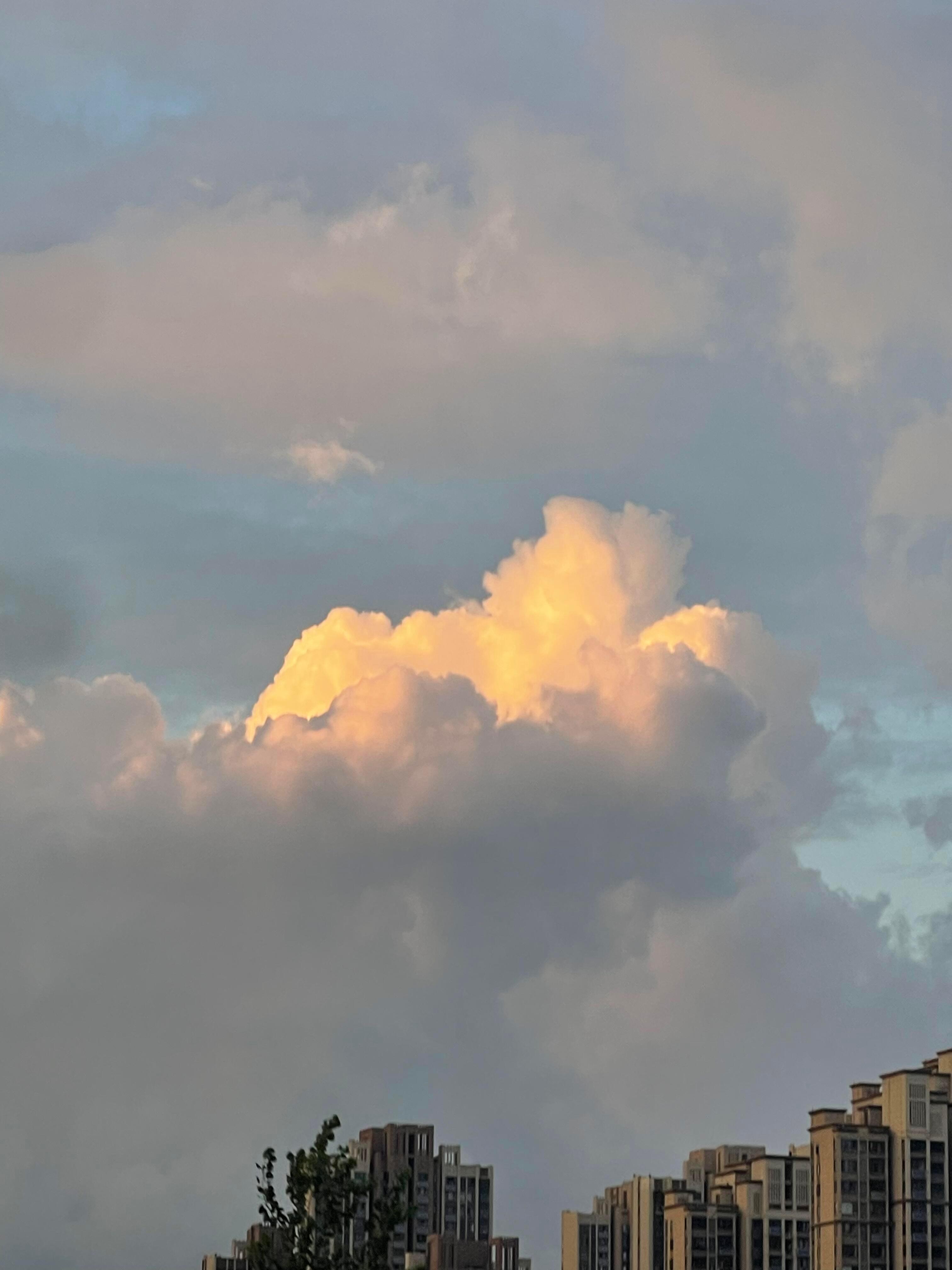 ₊˚⊹♡ᓚ₍^..^₎☀️☁️靠近阳光里什么也不用想​​​
