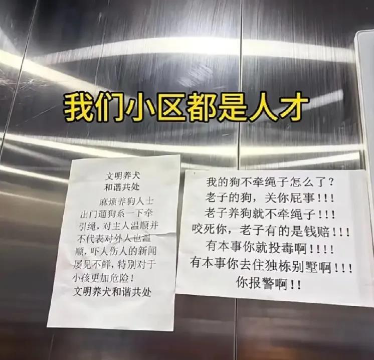 一个人写的，字体都一样