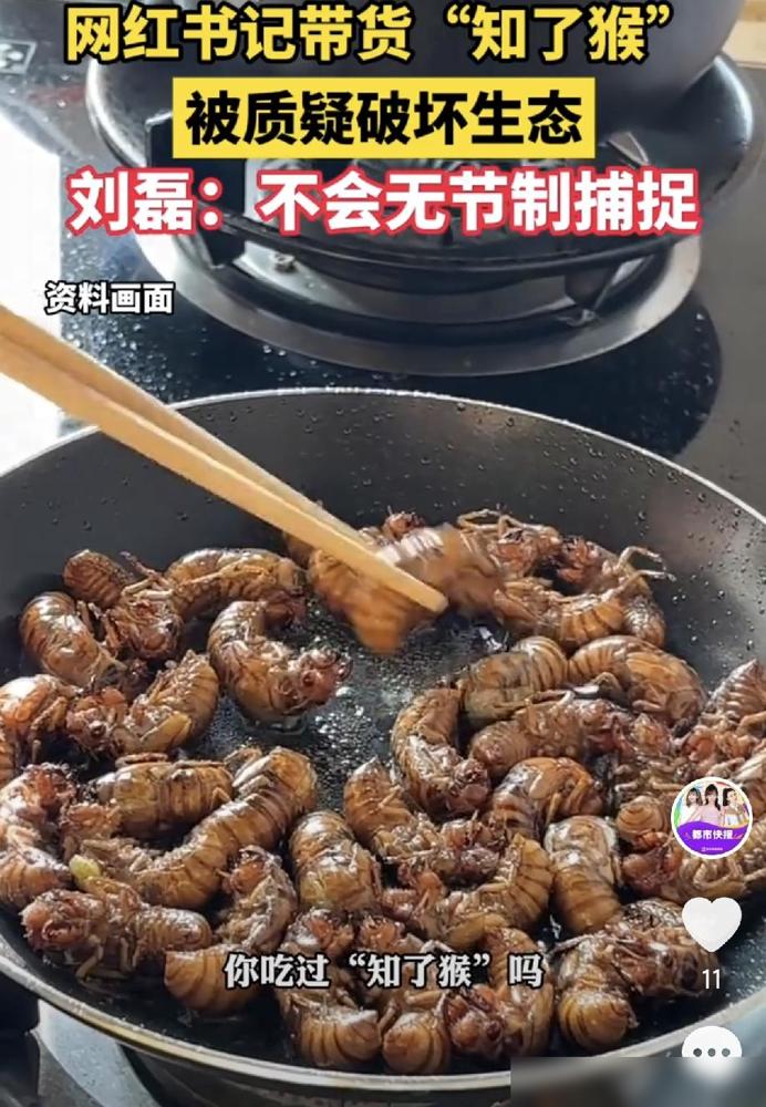 刚刚查了一下知了猴，不查不知道，一查吓一跳。之前我刷到山东那个村书记直播卖知