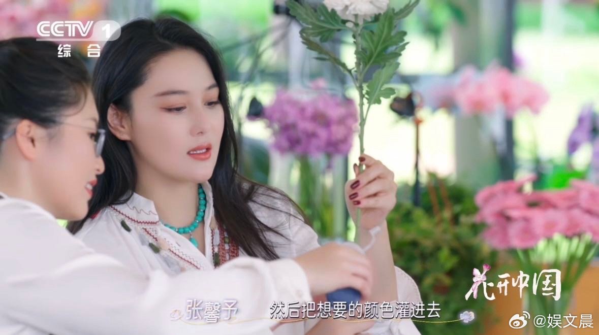 鲜花变装好惊艳原来菊花也能染色想知道“七彩云菊”是如何上色的吗？秘密就藏在植物的