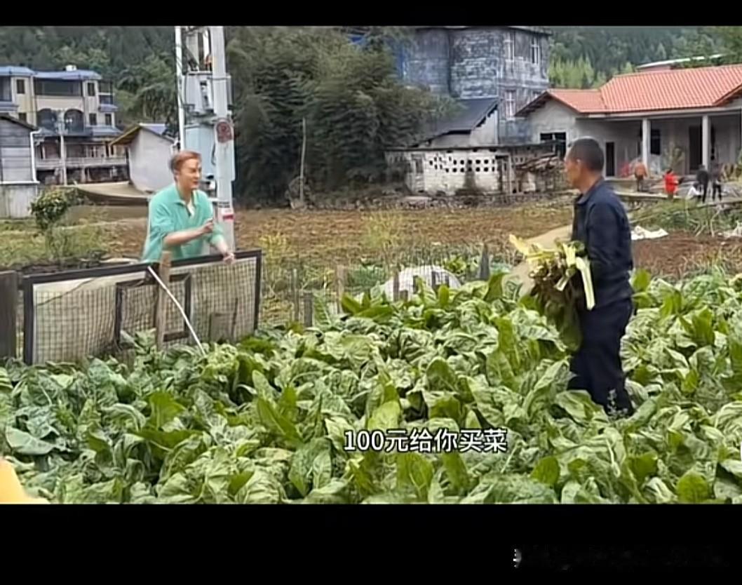 吴克群买菜被拒吴克群来重庆酉阳，田间地头看到一个农民正正菜地采菜，吴克群问农民