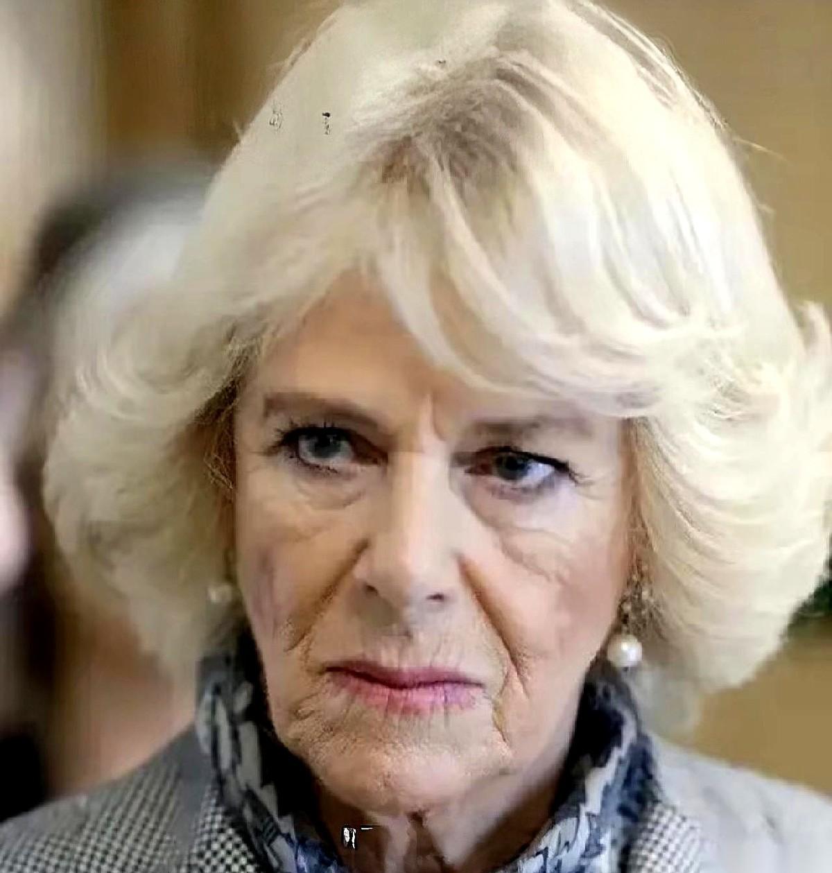 王后卡米拉的宝座，最该感谢的不是国王，而是梅根。要是没这颗“炸弹”进来，戴安娜